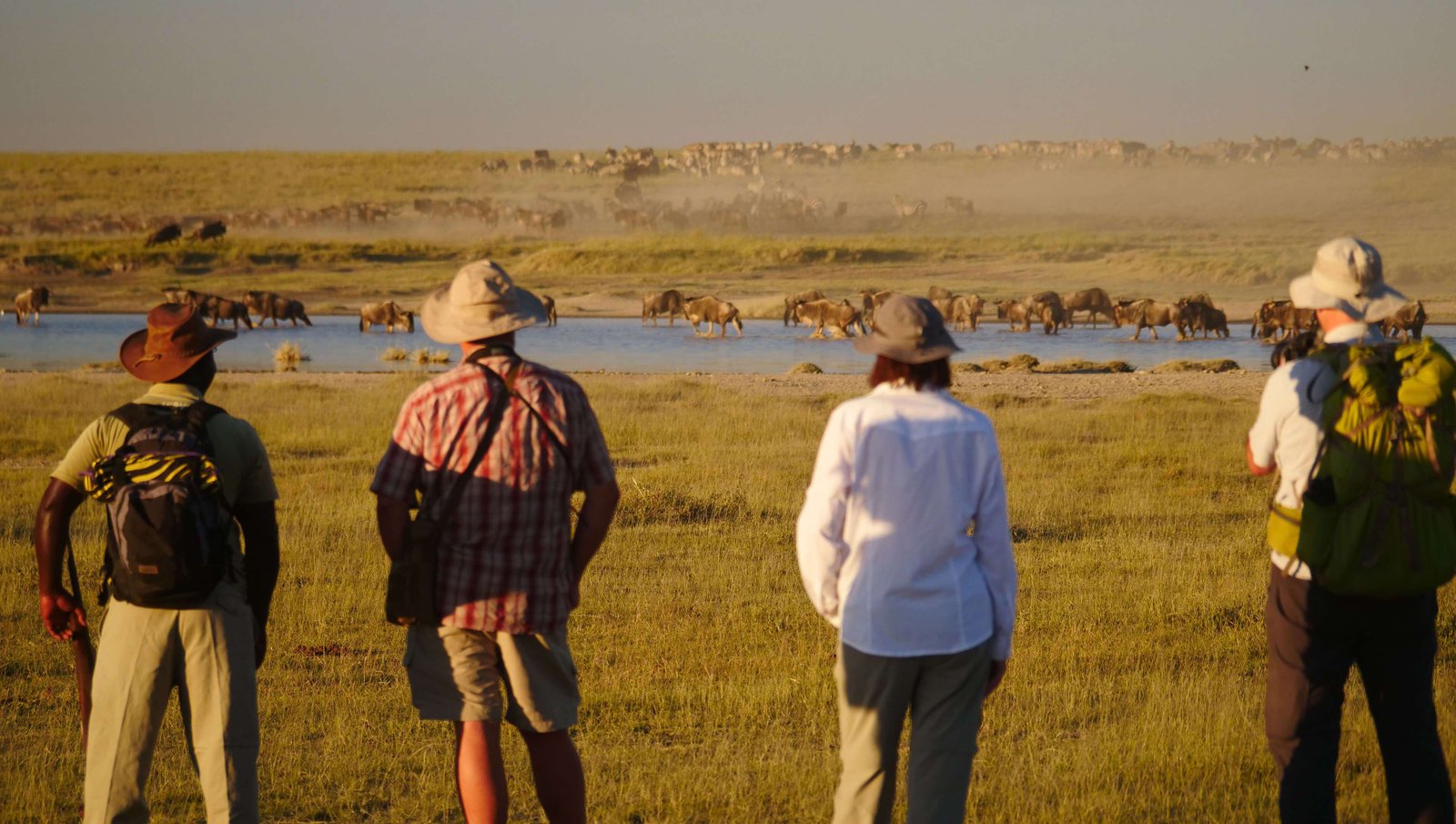 Walkingsafari